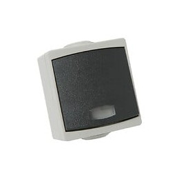 Bouton Poussoir à  voyant DEBFLEX Perle 10A étanche IP65 gris