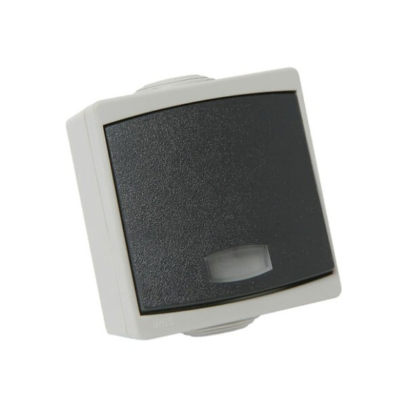 Bouton Poussoir à  voyant DEBFLEX Perle 10A étanche IP65 gris