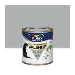 Peinture Laque Valénite - Gris Alpaga - Satin - 05L