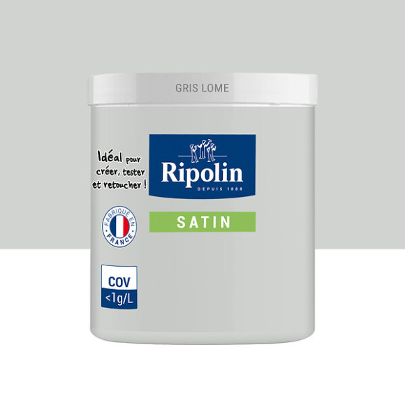 Testeur Peinture RIPOLIN Esprit Déco Gris lomé 75Ml