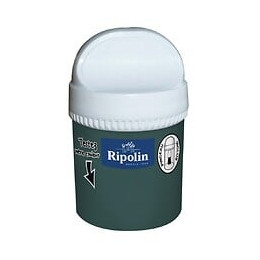 Testeur Peinture RIPOLIN Esprit Déco vert arméri 75Ml