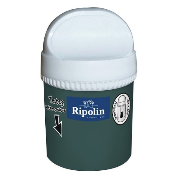 Testeur Peinture RIPOLIN Esprit Déco vert arméri 75Ml