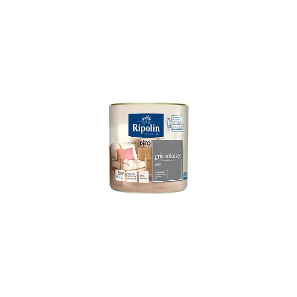 Peinture RIPOLIN murs boiseries gris ardoise satin 05L