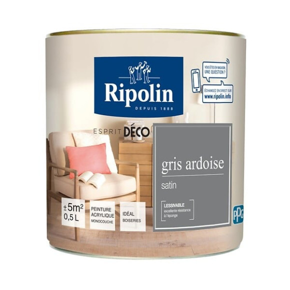 Peinture RIPOLIN murs boiseries gris ardoise satin 05L