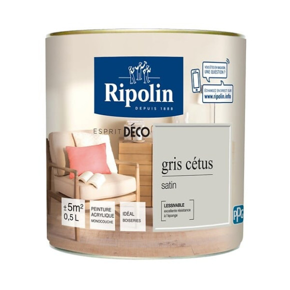 Peinture RIPOLIN murs boiseries gris cetus satin 05L