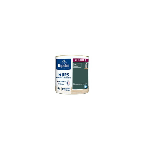 Peinture RIPOLIN Deco Velours murs boiseries radiateurs vert arm 05L