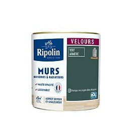 Peinture RIPOLIN Deco Velours murs boiseries radiateurs vert arm 05L