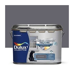 Peinture Façade exterieure - Gris anthracite - Multi-support - 25L