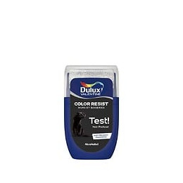 Testeur Dulux Valentine Color Resist Mur Boiserie Noir Profond 003L