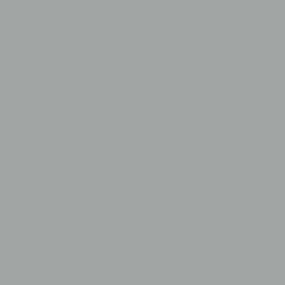 Testeur Dulux Valentine Color Resist Mur Boiserie Gris Parfait 003L