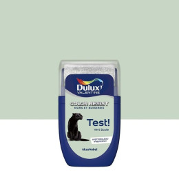 Testeur Dulux Valentine Color Resist Mur et Boiserie Vert Saule 003L