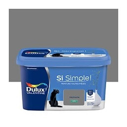 Peinture Si Simple - L'Anthracite - Satin - 25L