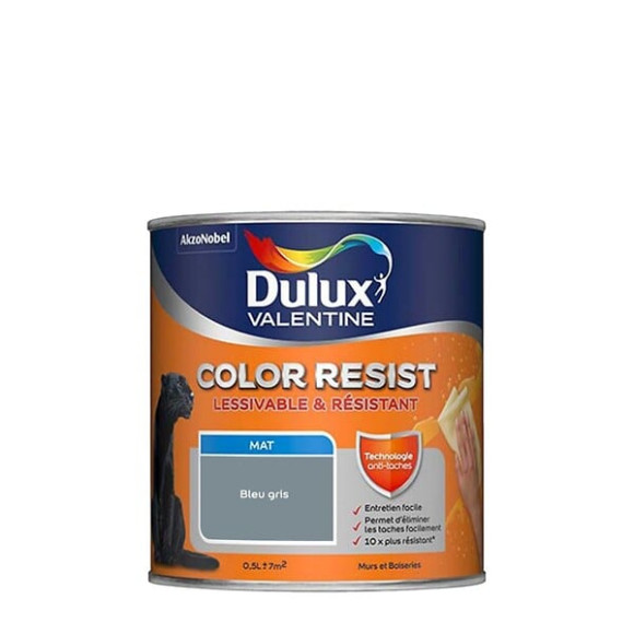 Peinture Color Resist - Bleu Gris - Mur et boiserie - 05L