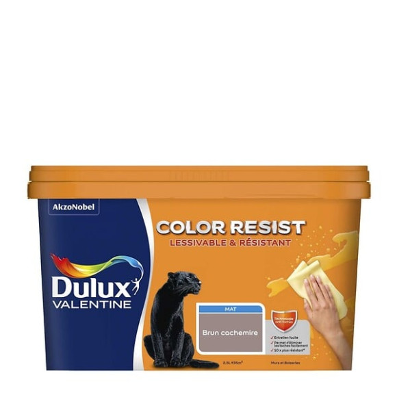 Peinture Color Resist - Brun Cachemire - Mur et boiserie - 25L