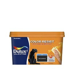 Peinture Color Resist - Noir Profond - Mur et boiserie - 25L