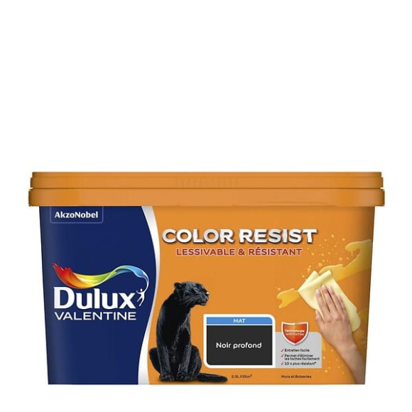 Peinture Color Resist - Noir Profond - Mur et boiserie - 25L