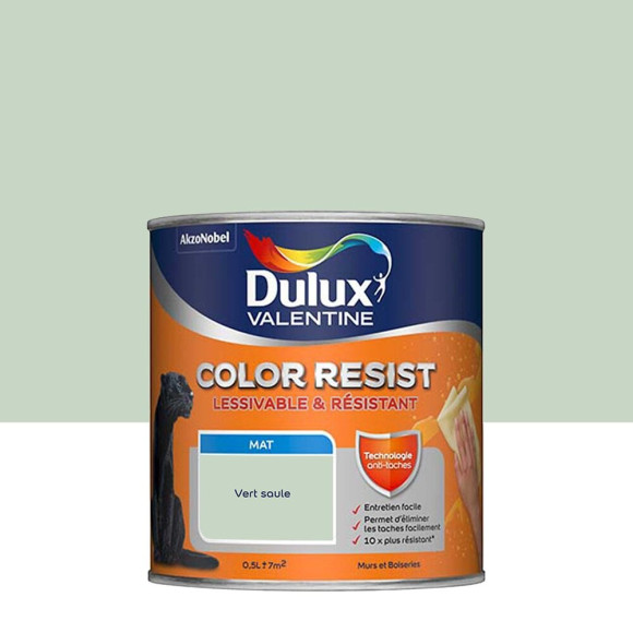 Peinture Color Resist - Vert Saule - Mur et boiserie - 05L