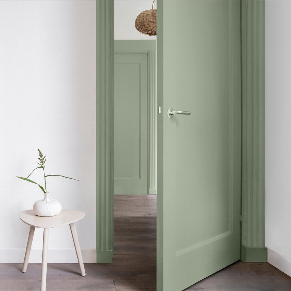 Peinture Color Resist - Vert Saule - Mur et boiserie - 05L