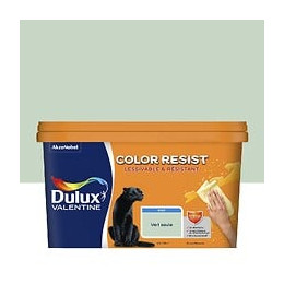 Peinture Color Resist - Vert Saule - Mur et boiserie - 25L