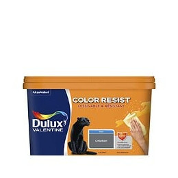 Peinture Color Resist - Charbon - Mur et boiserie - 25L