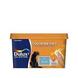 Peinture Color Resist - Bleu Verre - Mur et boiserie - 25L