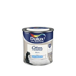 Peinture Crème de Couleur - Blanc - Mat - 05L