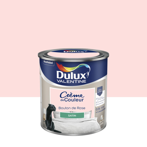 Peinture Crème de Couleur - Bouton de Rose - Satin - 05L