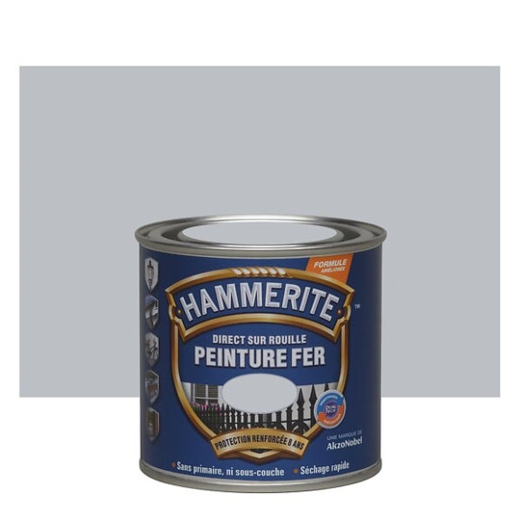 Peinture fer Hammerite Direct sur Rouille Brillant Argent 025L