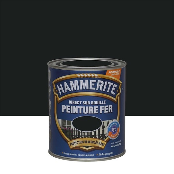 Peinture Direct sur Rouille - Noir - Satin - 075L