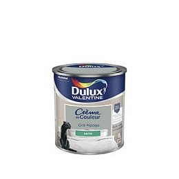 Peinture Crème de Couleur - Gris Alpaga - Satin - 05L