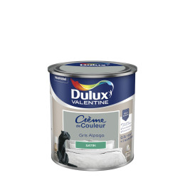 Peinture Crème de Couleur - Gris Alpaga - Satin - 05L