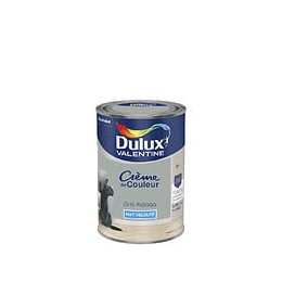 Peinture Crème de Couleur - Gris Alpaga - Mat - 125L