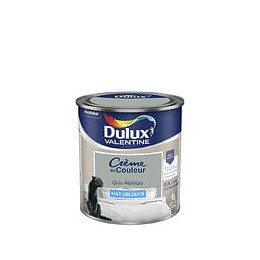 Peinture Crème de Couleur - Gris Alpaga - Mat - 05L