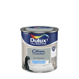 Peinture Crème de Couleur - Gris Alpaga - Mat - 05L