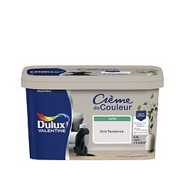 Peinture Crème de Couleur - Gris Tendance - Satin - 25L