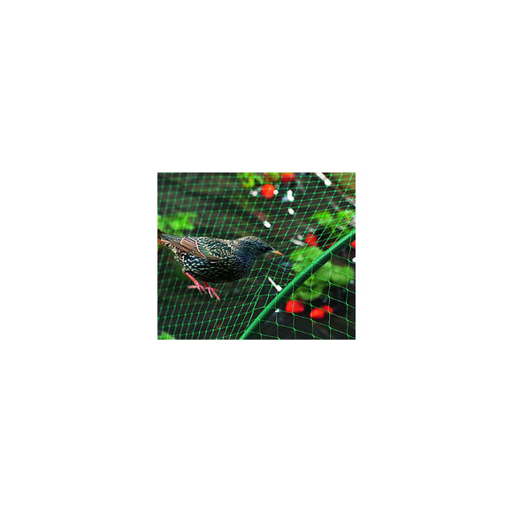 Filet de protection oiseaux 2x5m