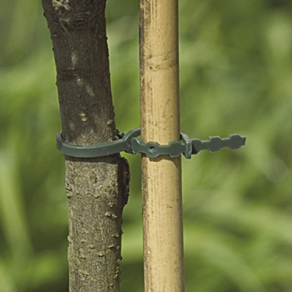 Lot De 20 Liens Pour Arbres Nortene 0.37 M