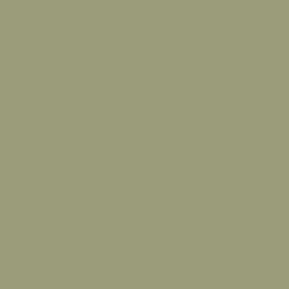 Peinture meuble Caseine - Vert de Gris - Mat - 05L