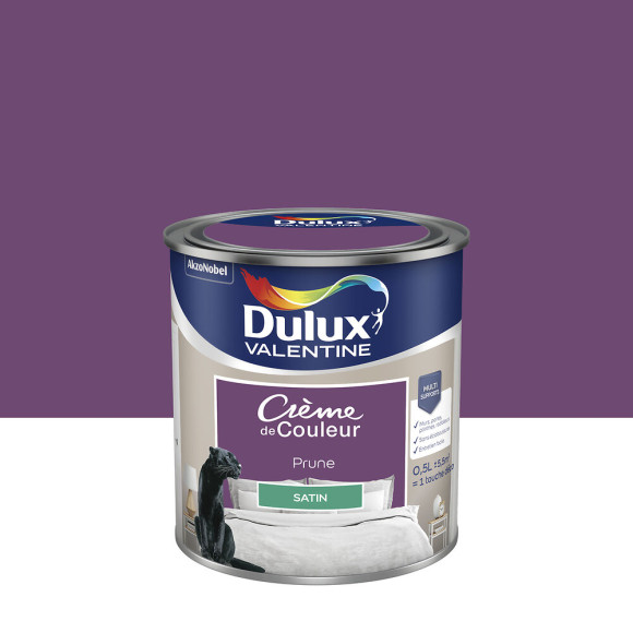 Peinture Crème de Couleur - Prune - Satin - 05L