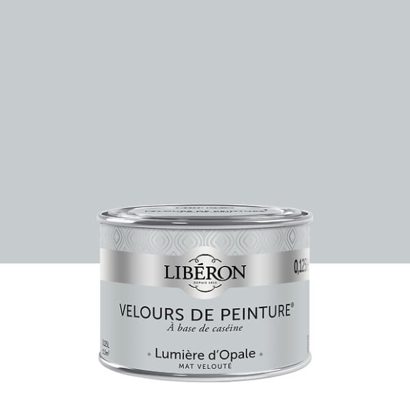 Velours de peinture - Lumière d'opale - Mat - 125ml