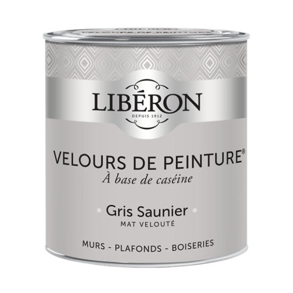 Velours de peinture - Gris saunier - Mat - 05L