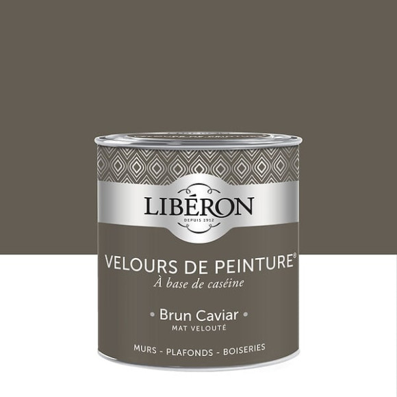 Velours de peinture - Brun caviar - Mat - 05L