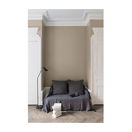 Velours de peinture - Beige Paris-Brest - Mat - 05L