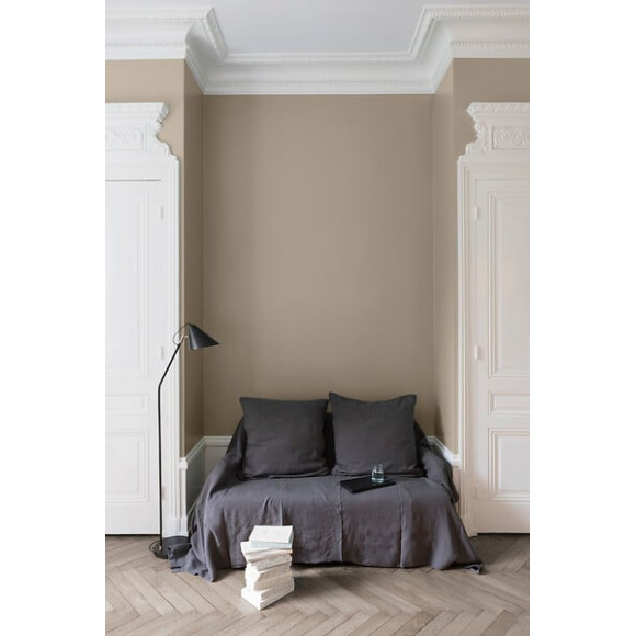 Velours de peinture - Beige Paris-Brest - Mat - 05L