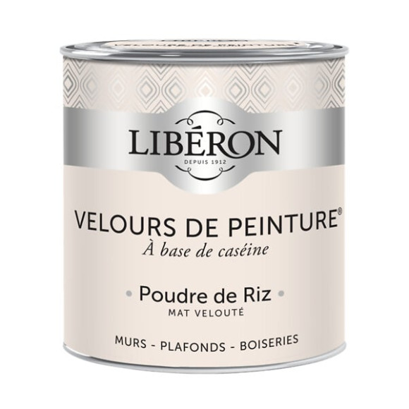 Velours de peinture - Poudre de riz - Mat - 05L