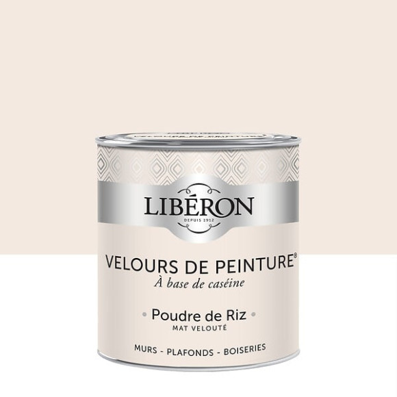 Velours de peinture - Poudre de riz - Mat - 05L