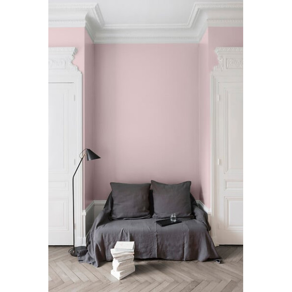 Velours de peinture - Rose pamoison - Mat - 05L