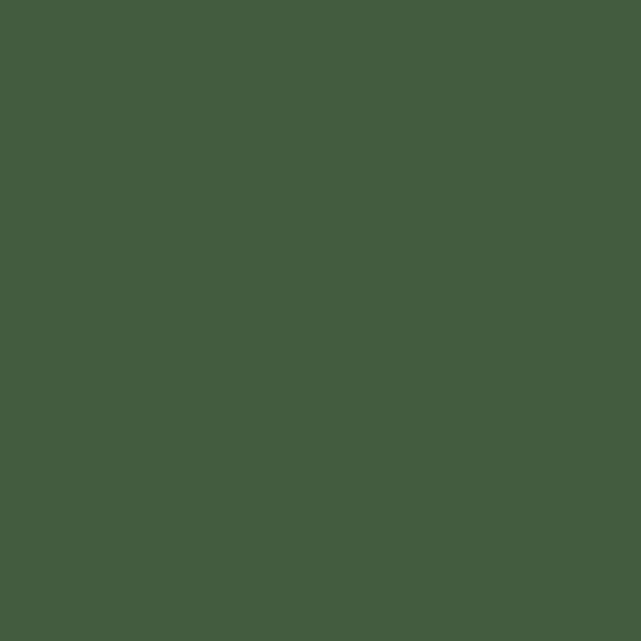 Peinture Crème de Couleur - Vert Tropical - Mat - 125L