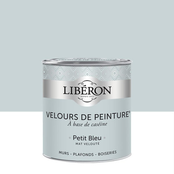 Velours de peinture - Petit Bleu - Mat - 05L