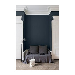 Velours de peinture - Bleu des Vosges - Mat - 05L